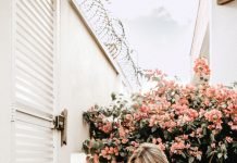 adorable-affection-beautiful-3082801-218x150