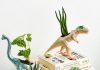 dinosaur planter