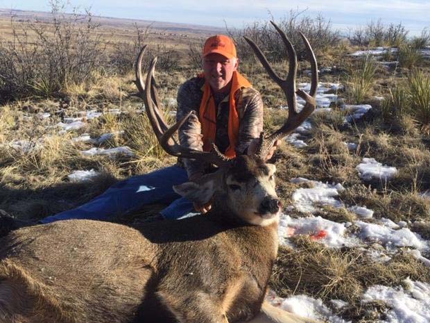 Image with missing alt attribute found on monstermuleys.com