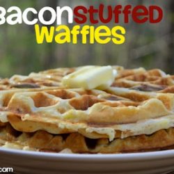 Image with missing alt attribute found on mrshappyhomemaker.com