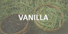 Vanilla - International trading company