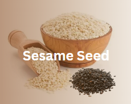 Image with missing alt attribute found on mudraglobal.com