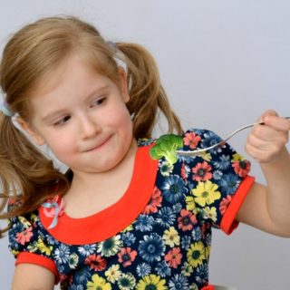 Image with missing alt attribute found on myfussyeater.com