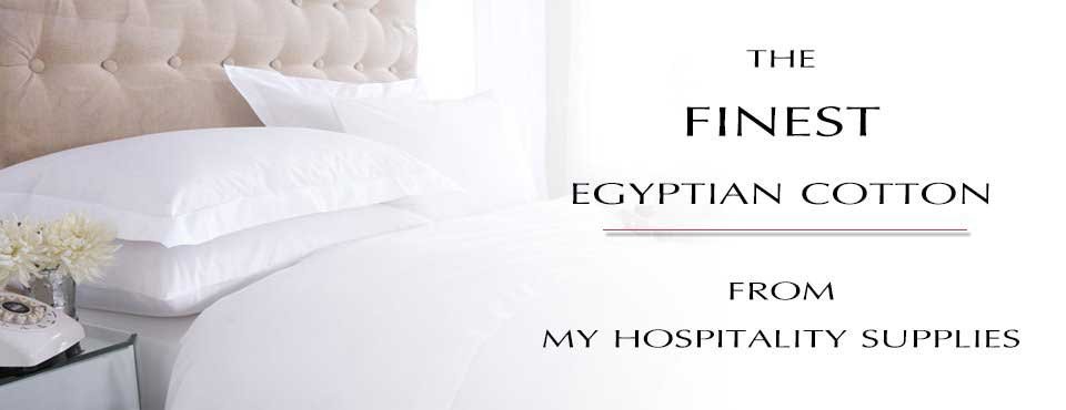 Image with missing alt attribute found on myhospitalitysupplies.com