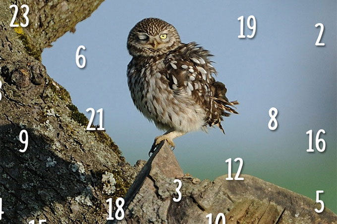 Image with missing alt attribute found on nabu.de