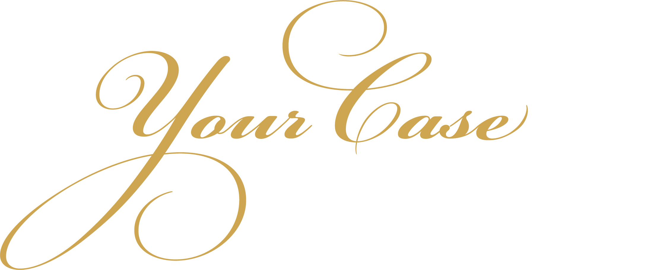 Image with missing alt attribute found on naegeliusa.com