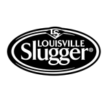 Image with missing alt attribute found on naeir.org