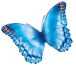 Image with missing alt attribute found on nationwidechildrens.org