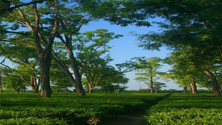 Hajo - The Pride Of Assam