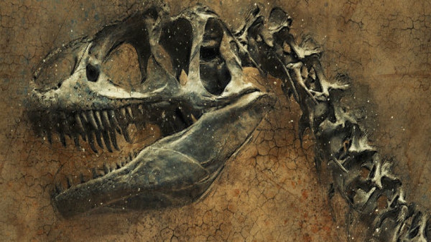 Balasinor &ndash; India's Very Own Jurassic Park