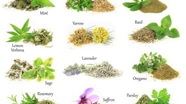 15 Impressive Health Benefits of Herbs