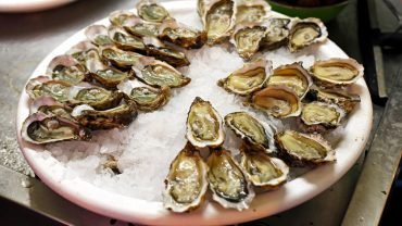 Oysters health benefits
