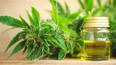 Benefits And Uses Of CBD Oil