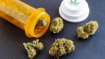 Medical Marijuana (Medical Cannabis) - All You Should Know