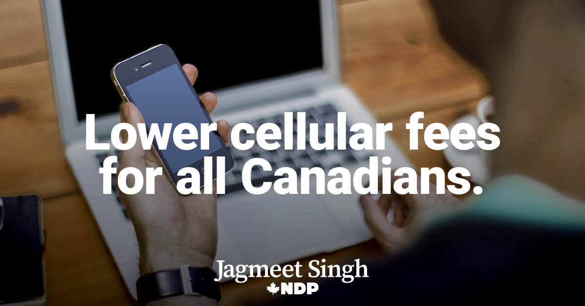 Image with missing alt attribute found on ndp.ca