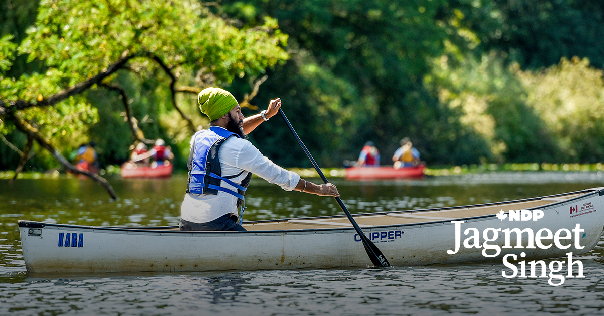 Image with missing alt attribute found on ndp.ca