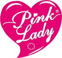 Image with missing alt attribute found on netto-online.de