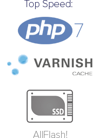 Image with missing alt attribute found on netzone.ch