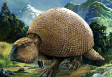 Image with missing alt attribute found on newdinosaurs.com