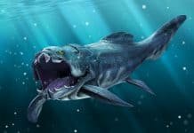 Image with missing alt attribute found on newdinosaurs.com