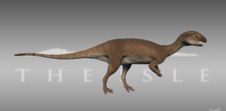 Image with missing alt attribute found on newdinosaurs.com