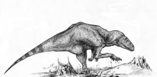 Image with missing alt attribute found on newdinosaurs.com