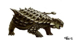 Image with missing alt attribute found on newdinosaurs.com