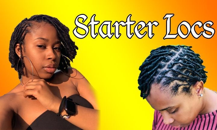 Starter Locs Hairstyles for Black Women