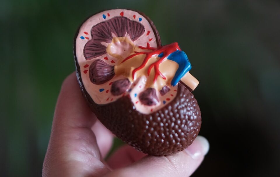 Image with missing alt attribute found on obaid.info