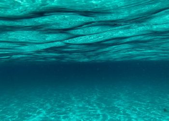 Photo by Fernando Jorge on Unsplash