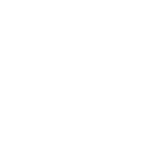 Image with missing alt attribute found on omnigo.com