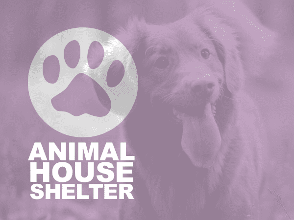 Image with missing alt attribute found on orbitmedia.com