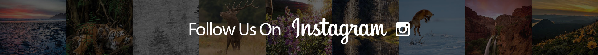 Follow Us On Instagram