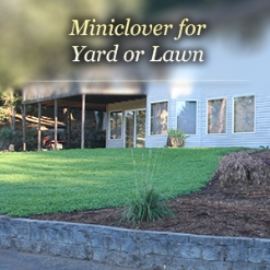 Image with missing alt attribute found on outsidepride.com