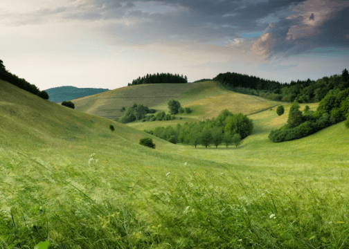 Image with missing alt attribute found on papvacances.fr