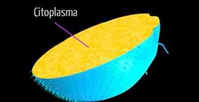 Image with missing alt attribute found on partesdel.com