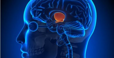 Image with missing alt attribute found on partesdel.com