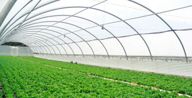 Image with missing alt attribute found on partesdel.com