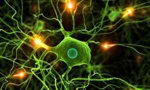 Image with missing alt attribute found on partesdel.com