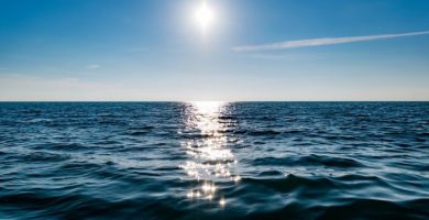 Image with missing alt attribute found on partesdel.com