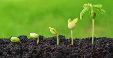 Image with missing alt attribute found on partesdel.com