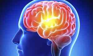 Image with missing alt attribute found on partesdel.com