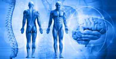 Image with missing alt attribute found on partesdel.com