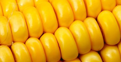 Image with missing alt attribute found on partesdel.com