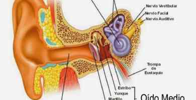 Image with missing alt attribute found on partesdel.com