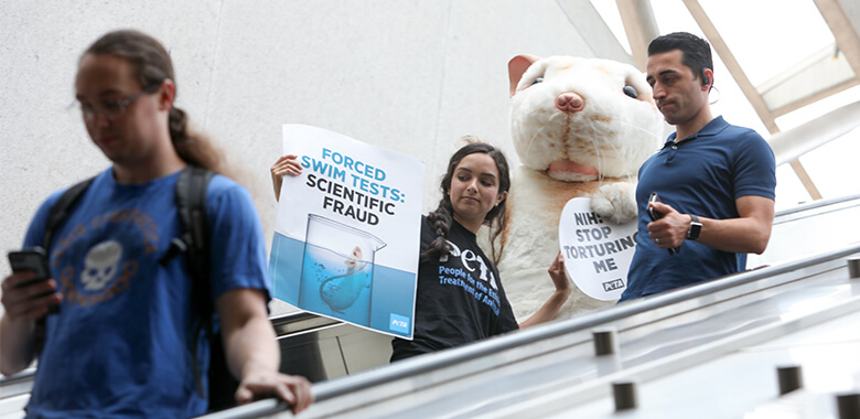 Image with missing alt attribute found on peta.org