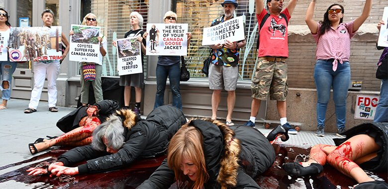 Image with missing alt attribute found on peta.org