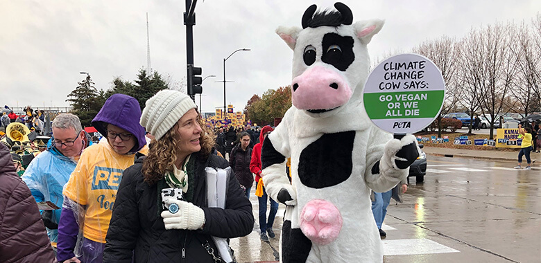 Image with missing alt attribute found on peta.org