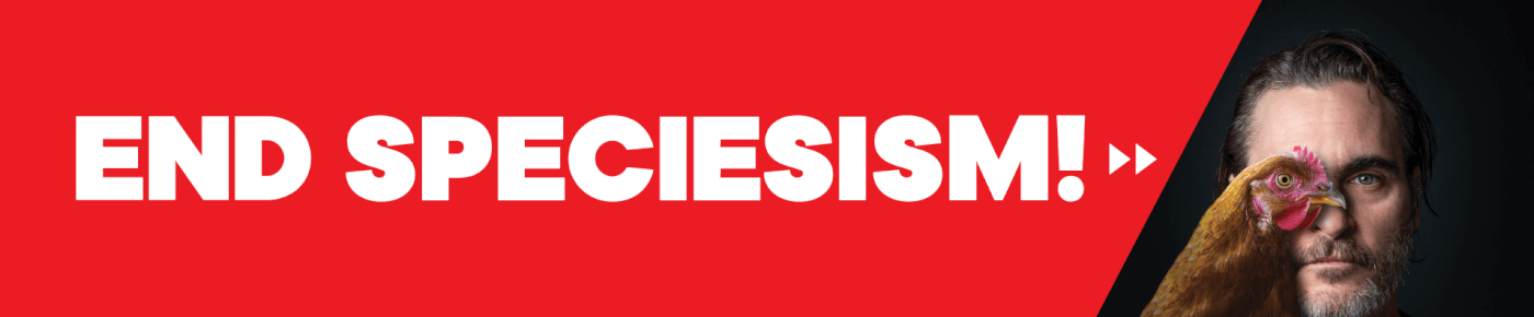 Image with missing alt attribute found on peta.org