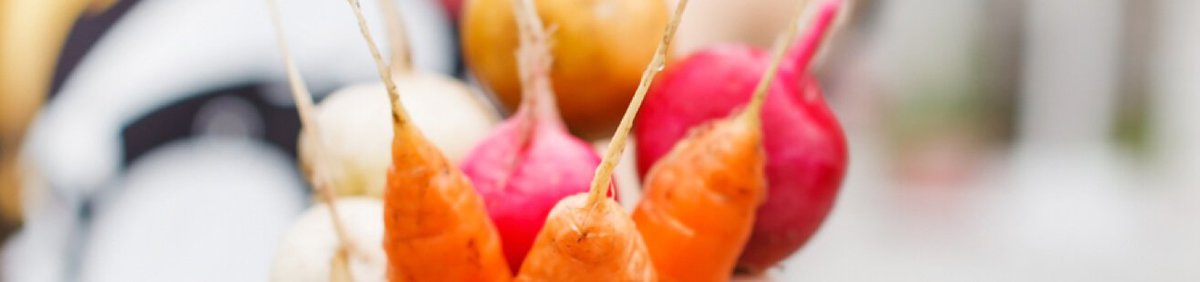 Image with missing alt attribute found on planetnatural.com